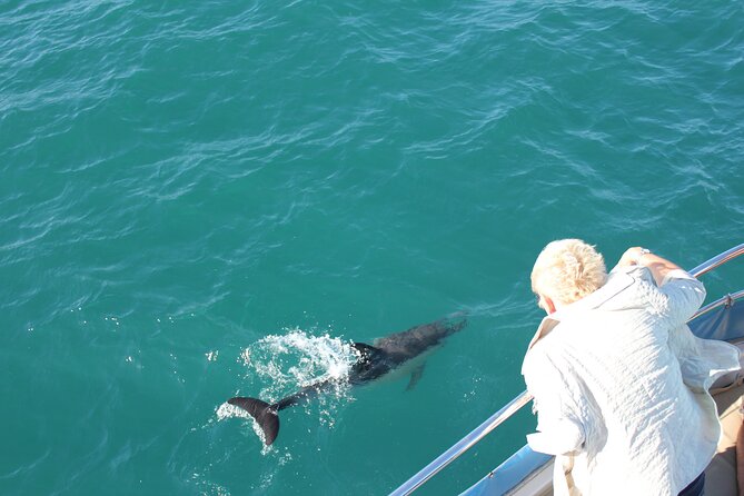 Dolphin Watching in Gibraltar With the Blue Boat Dolphin Safari - Experience the Legendary Strait of Gibraltar