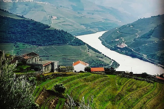 Douro Valley: Food and Wine Small Group Tour From Porto