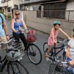 E-Bike Nara Highlights - Todaiji, Knives, Deer, Shrine - Tour Duration and Inclusions