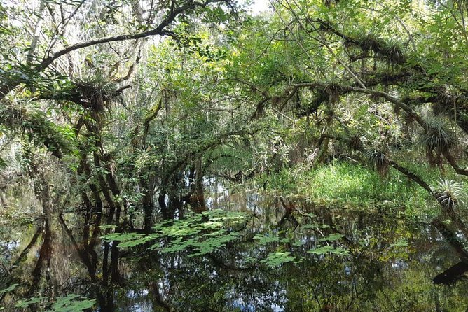 Everglades National Park Biologist Led Adventure: Cruise, Hike + Airboat