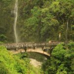Famous Road to Hana Waterfalls and Lunch by Mercedes Van - Tour Highlights