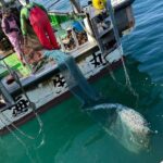 Fishing on a Fishing Boat & Bottom Trawl Tour - Activity Overview