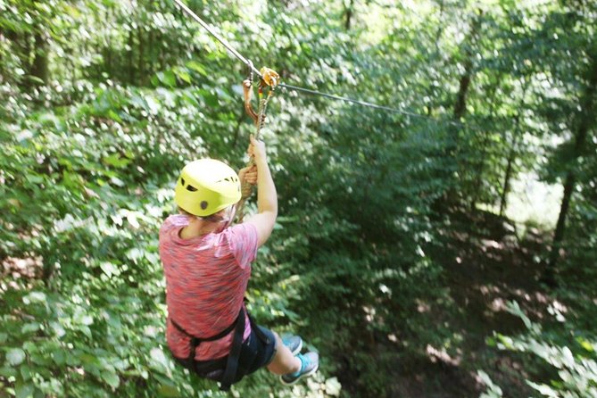 Fontanel Zipline Forest Adventure at Nashville North - Activity Overview