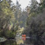 Franz Josef: -Hour Kayak Tour on Lake Mapourika - Tour Details