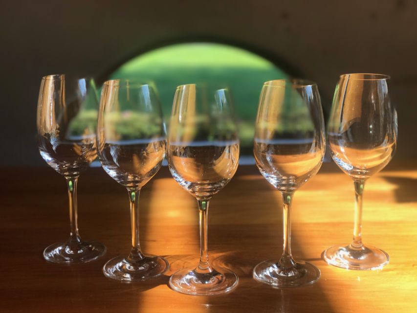 From Blenheim: Private Customizable Winery and Omaka Tour