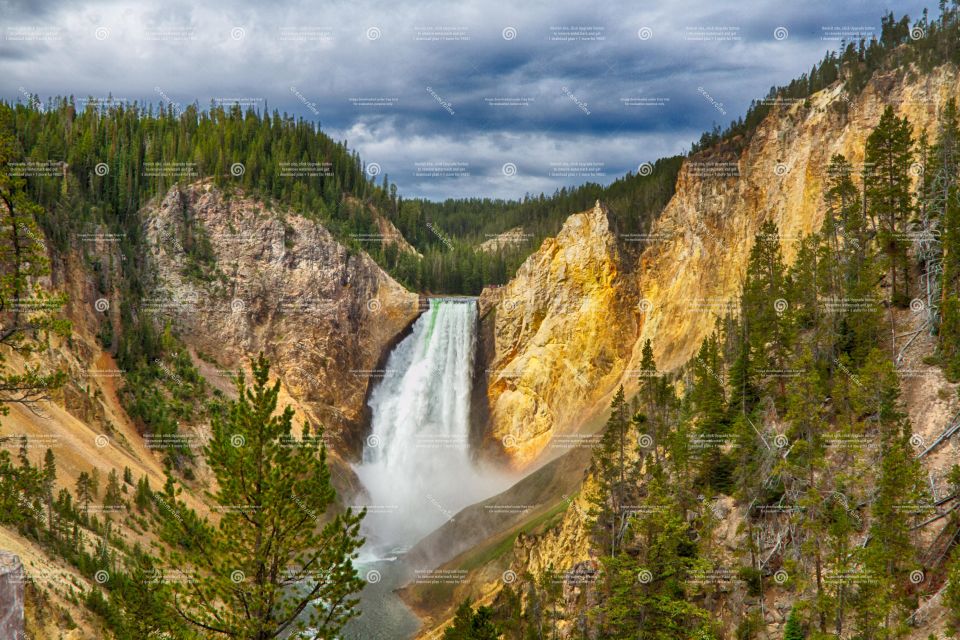 From Bozeman: Yellowstone Full-Day Tour With Entry Fee - Tour Details