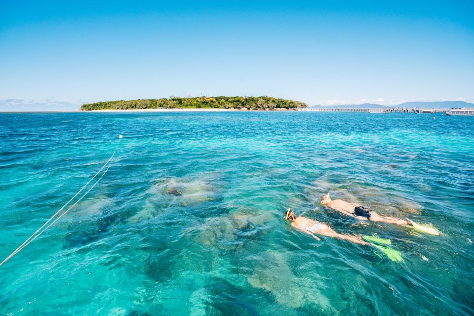 From Cairns: Green Island Snorkelling or Glass Bottom Boat - Activity Overview