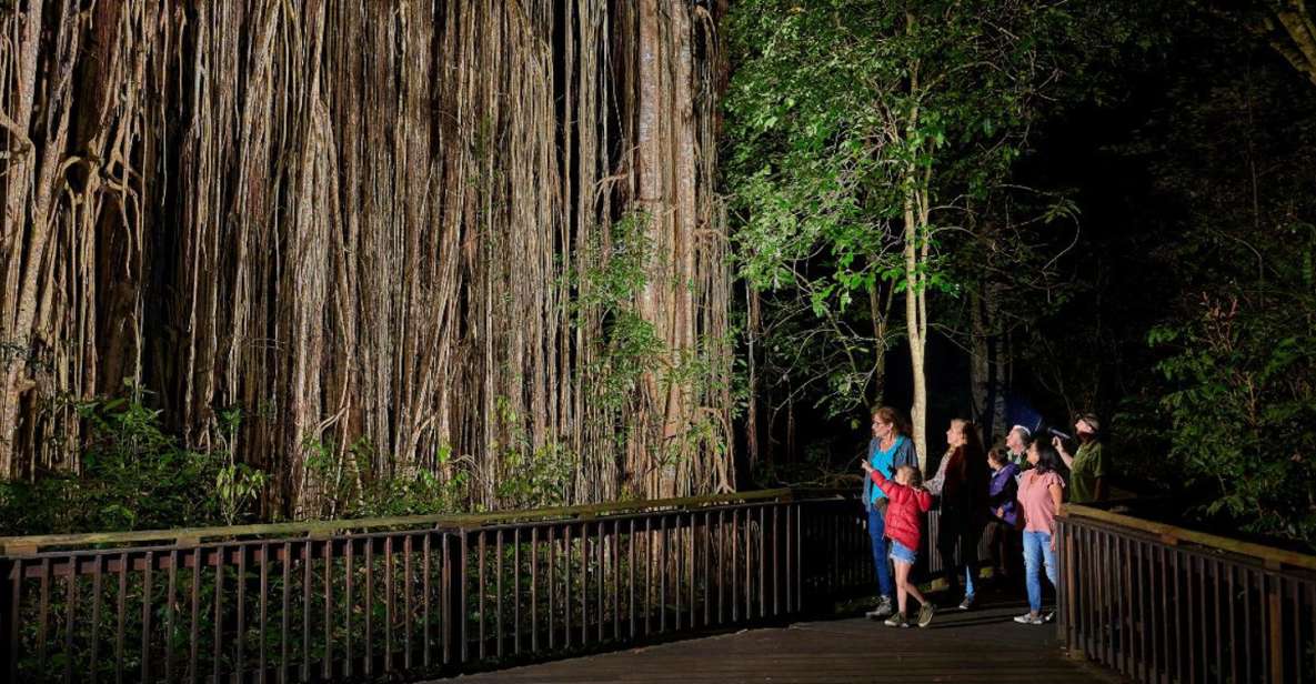 From Cairns: Rainforest & Nocturnal Wildlife Tour - Tour Details