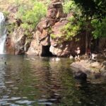 From Darwin: Litchfield Park Tour & Jumping Crocodile Cruise - Tour Details