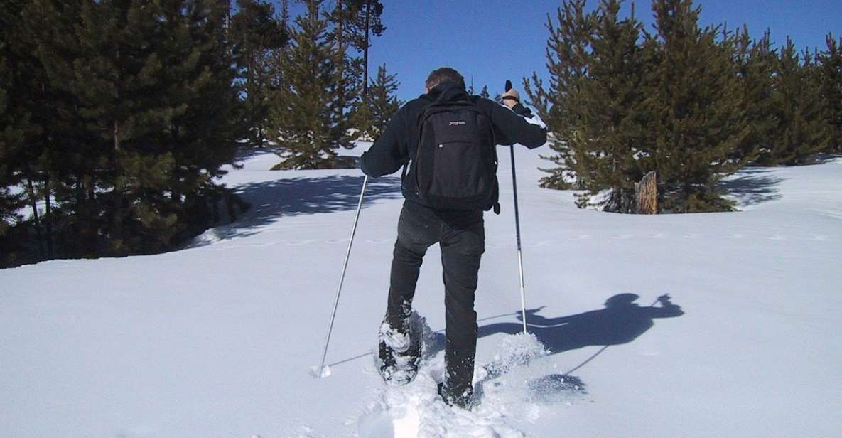 From Gardiner: Yellowstone National Park Snowshoe Tour - Tour Details