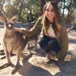 From Haymarket: Hunter Valley Wine and Wildlife Day Trip - Trip Overview
