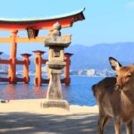 From Hiroshima: Hiroshima and Miyajima Island -Day Bus Tour - Tour Overview
