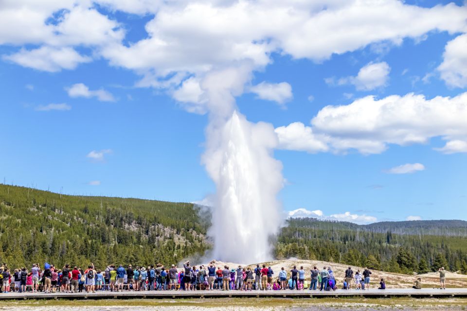 From Jackson: Yellowstone Day Tour Including Entrance Fee - Tour Details