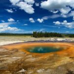 From Jackson: Yellowstone National Park Day Trip With Lunch - Tour Details