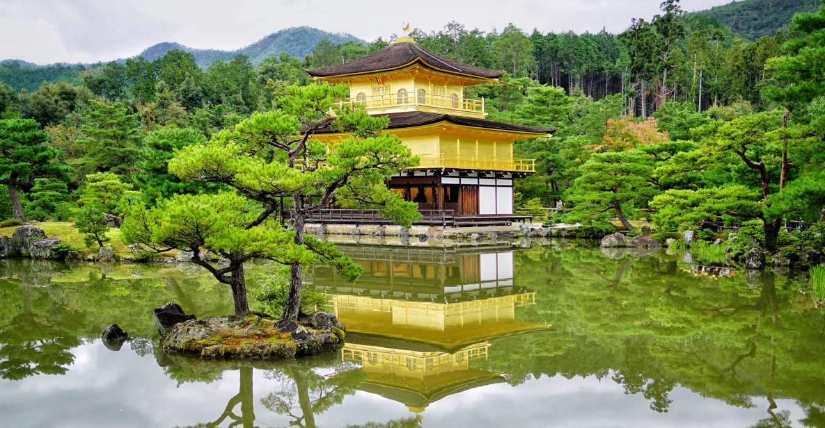 From Kyoto: Kyoto and Nara Golden Route Full-Day Bus Tour