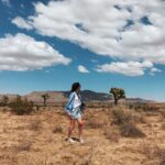 From Las Vegas: -Day Hiking and Camping in Joshua Tree - Trip Overview