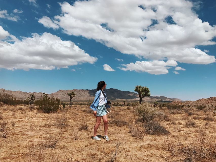 From Las Vegas: 4-Day Hiking and Camping in Joshua Tree - Trip Overview