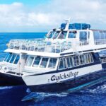 From Maalaea Harbor: Whale Watching Tours Aboard the Quicksilver - Tour Highlights