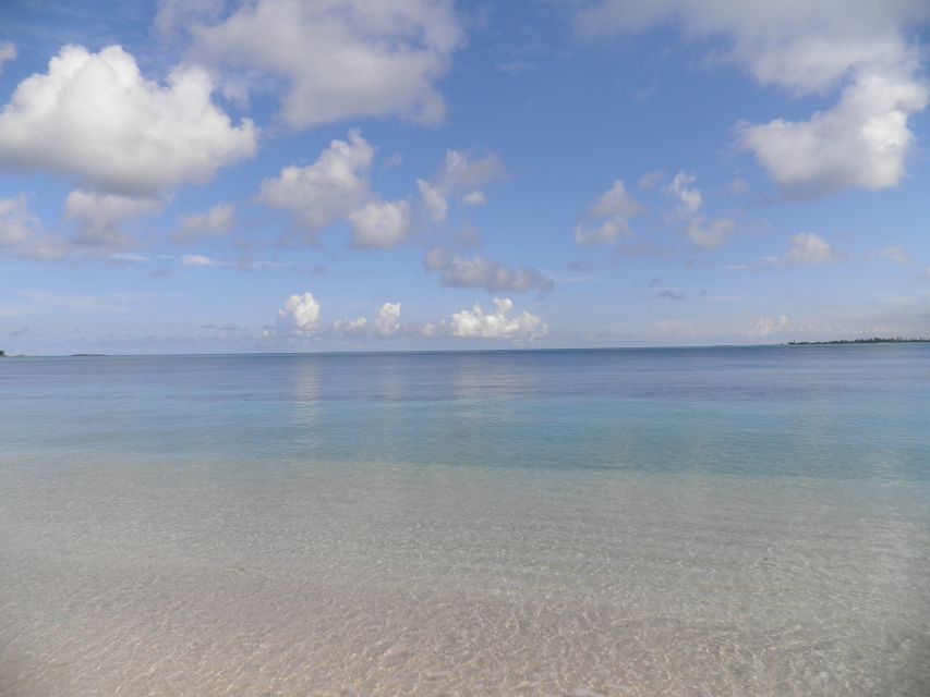 From Miami: Bimini Bahamas Day Trip W/ Hotel Pickup & Ferry - Tour Details
