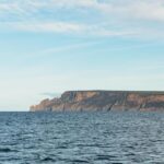 From Port Arthur: Tasman Island Wilderness Cruise - Pricing and Duration