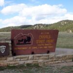 From Rapid City: Custer State Park Private Safari and Hiking - Tour Highlights