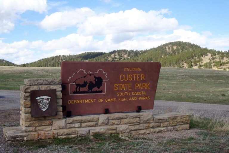 From Rapid City: Custer State Park Private Safari and Hiking