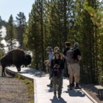 From Salt Lake City: -Day Yellowstone Wildlife Adventure - Tour Highlights