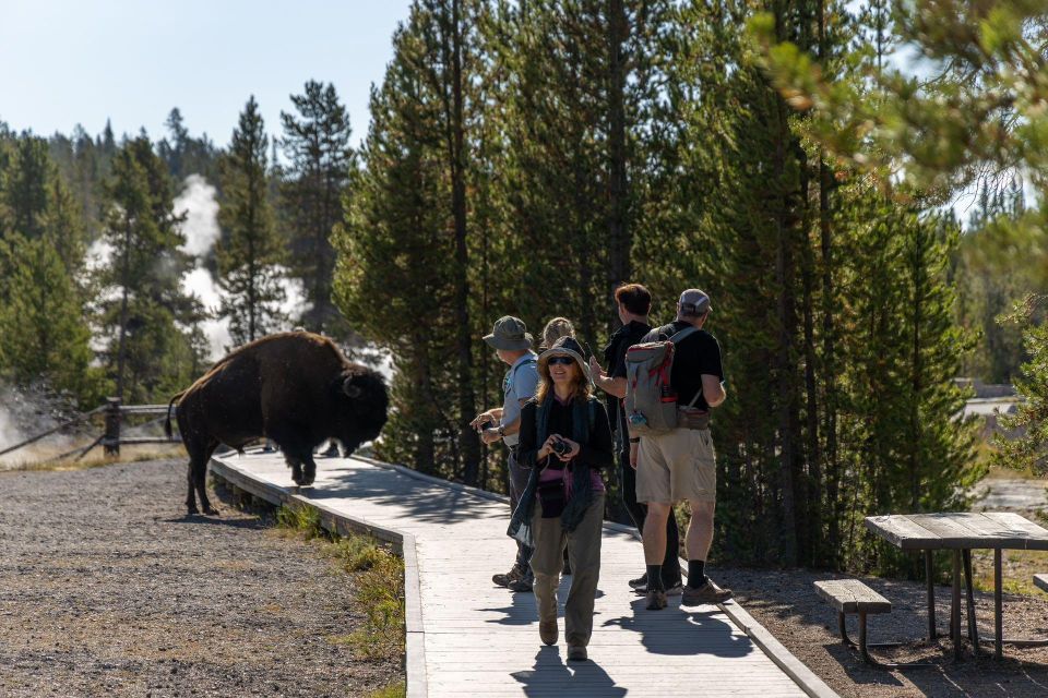 From Salt Lake City: 3-Day Yellowstone Wildlife Adventure