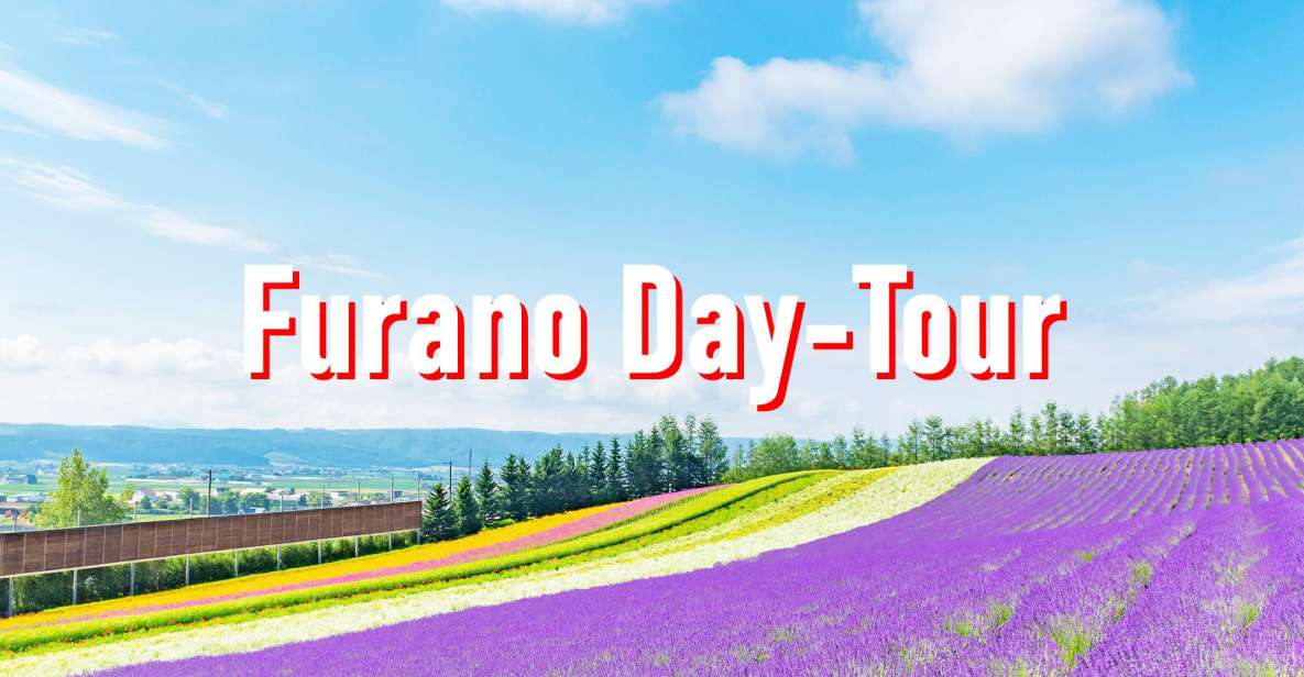 From Sapporo: 10-hour Customized Private Tour to Furano - Tour Details