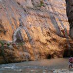 From Springdale: the Zion Narrows Hike With Lunch - Overview of the Zion Narrows Hike