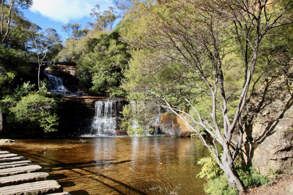 From Sydney: Blue Mountains, Sydney Zoo & Scenic World Tour - Tour Details
