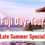 From Tokyo: -hour Mount Fuji Private Customizable Tour - Tour Description