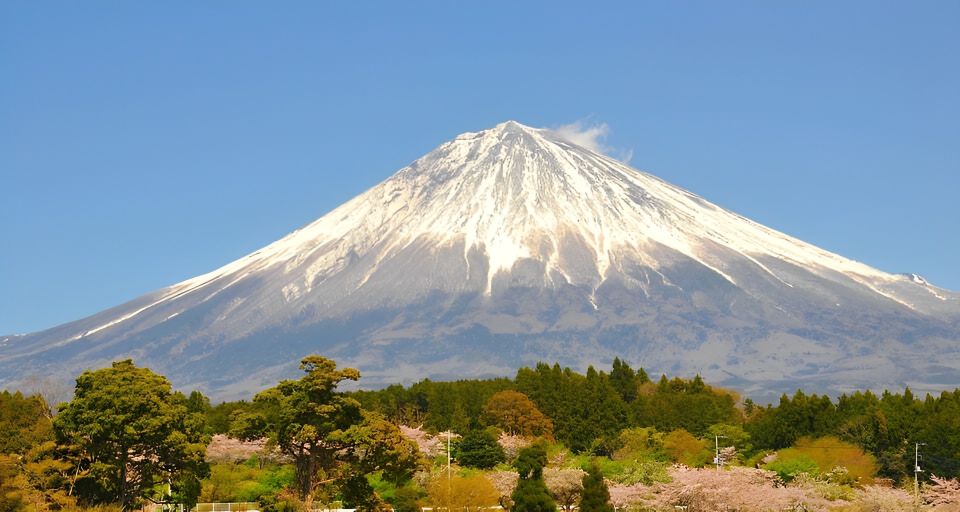 From Tokyo: -hour Private Tour to Mount Fuji and Hakone - Tour Overview