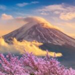 From Tokyo: Customizable Mount Fuji Full-Day Private Tour - Tour Overview