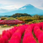 From Tokyo: Mt. Fuji Full-Day Sightseeing Trip - Tour Overview