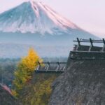 From Tokyo: MT Fuji Hakone Owakudani Valley Private Tour - About the Tour