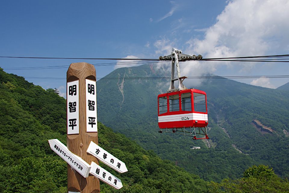 From Tokyo: Nikko Private Full-Day Sightseeing Day Trip