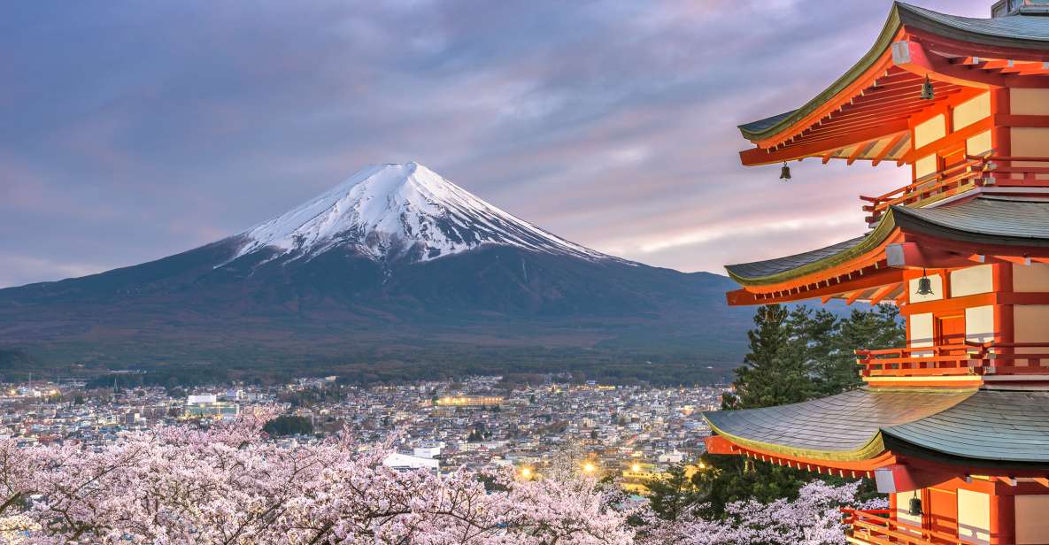 From Tokyo: Private Sightseeing Tour to Mount Fuji & Hakone