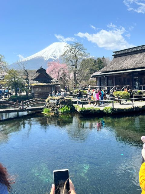 From Tokyo/Yokohama: Private Day Trip to Mt Fuji and Hakone