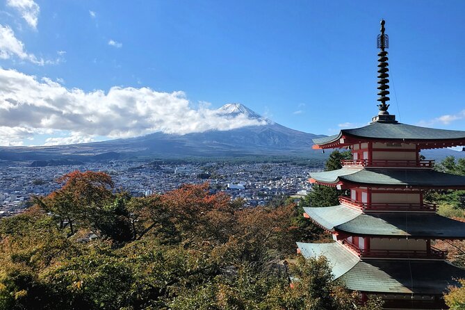 Full Day Private Guided Tour Mt. Fuji and Hakone - Tour Details