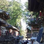 Full Day Private Tour & Sightseeing to Nikko(Eng Speaking Driver) - Additional Information