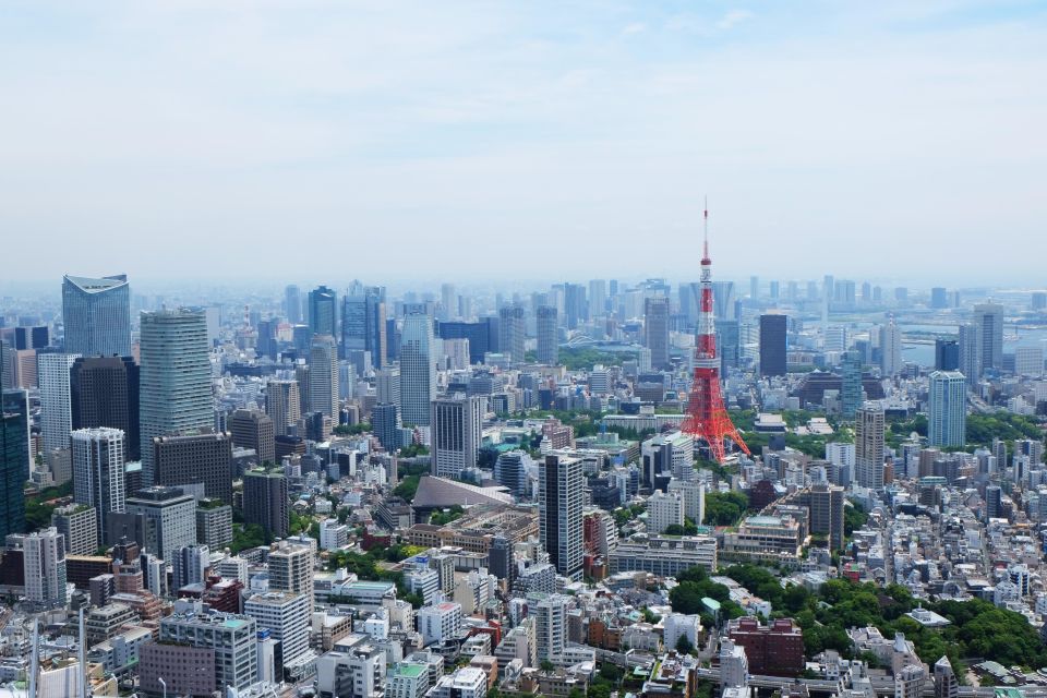 Full-Day Private Tour to Discover The Best of Tokyo - Tokyo Skytree Observation Deck