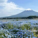 Full Day Private Tour to Mount Fuji and Hakone - Highlight of Reviews