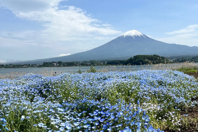 Full Day Private Tour to Mount Fuji and Hakone - Highlight of Reviews