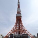 Full Day Tokyo Private Tour With English Speaking Driver - Tour Highlights