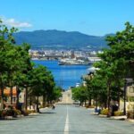 Hakodate Full-Day Private Tour With Government-Licensed Guide - Tour Overview