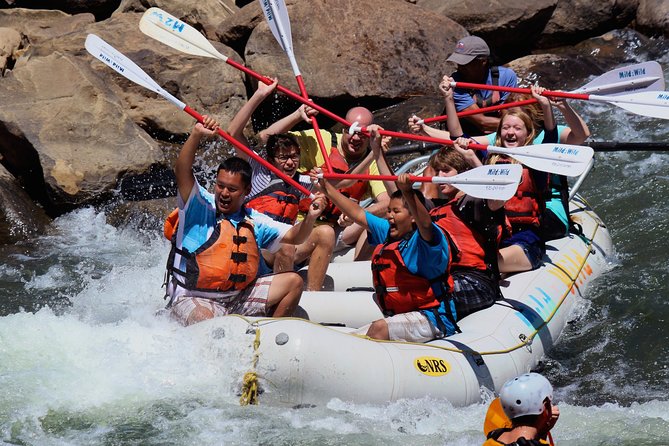 Half-Day Family Rafting in Durango, Colorado - Experience