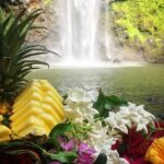 Half-Day Kayak and Waterfall Hike Tour in Kauai With Lunch - Inclusions