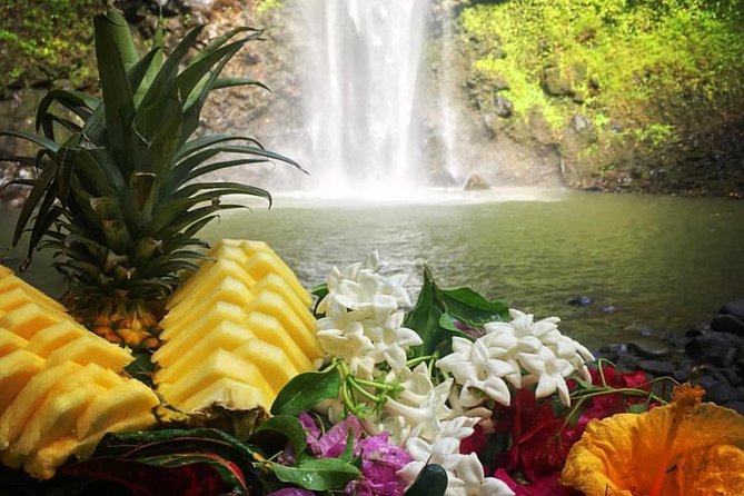 Half-Day Kayak and Waterfall Hike Tour in Kauai With Lunch - Inclusions