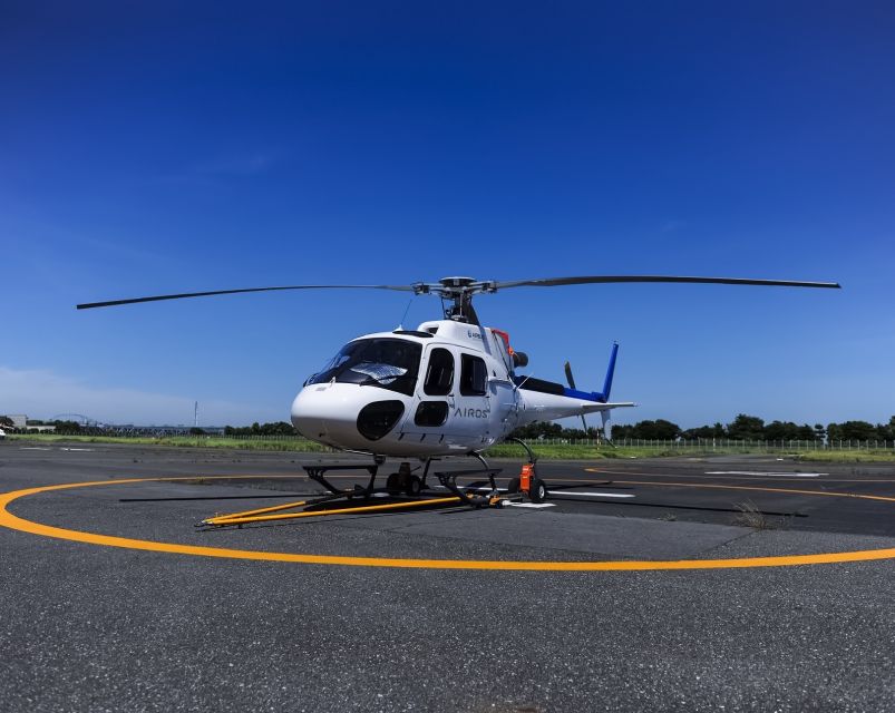 Helicopter Shuttle Service Between Narita and Tokyo - Service Highlights